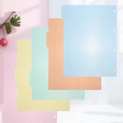 10Pcs A4 Plastic Index Divider - Tab Divider A4 评论和价格