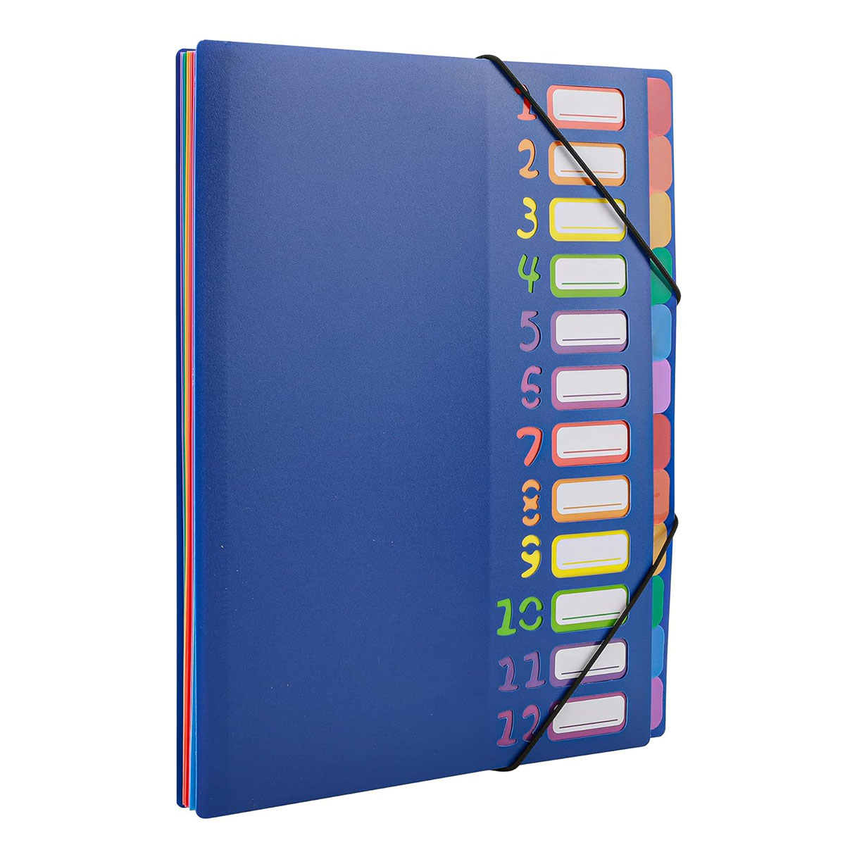 A4 Size Rainbow Tab Expanding  - Tab Divider A4 评论和价格